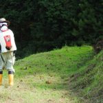 塩除草は危険！？安易にやってはいけない理由